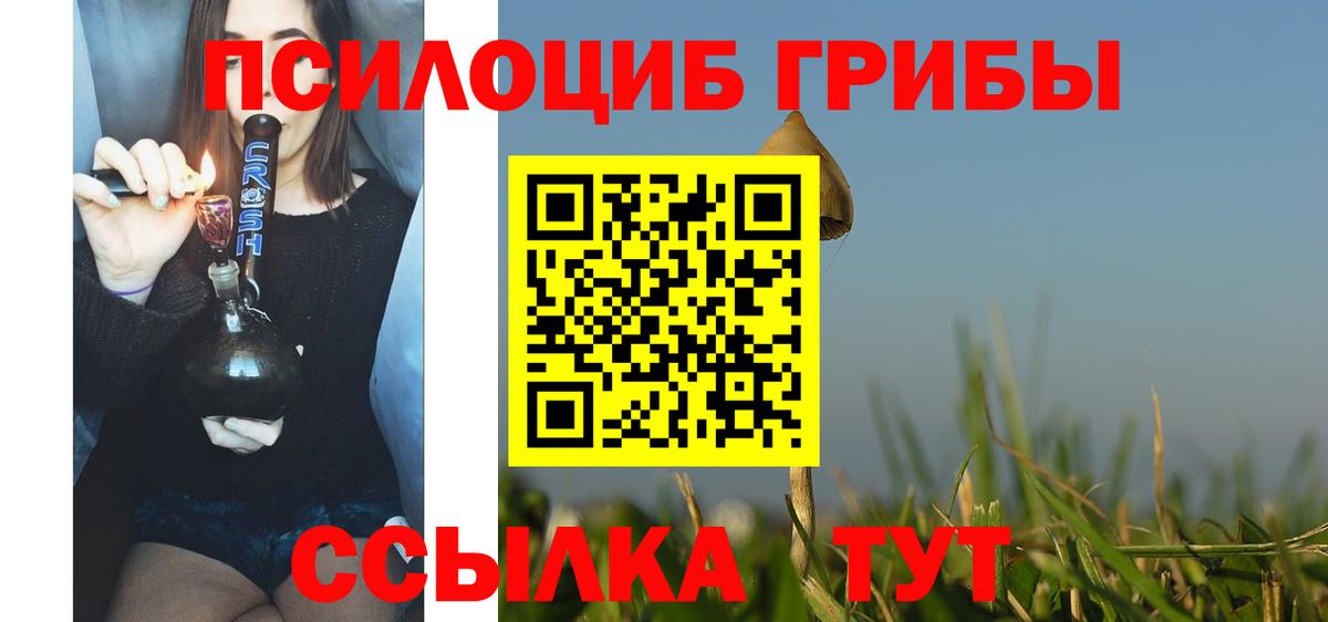 Галлюциногенные грибы GOLDEN TEACHER Гудермес